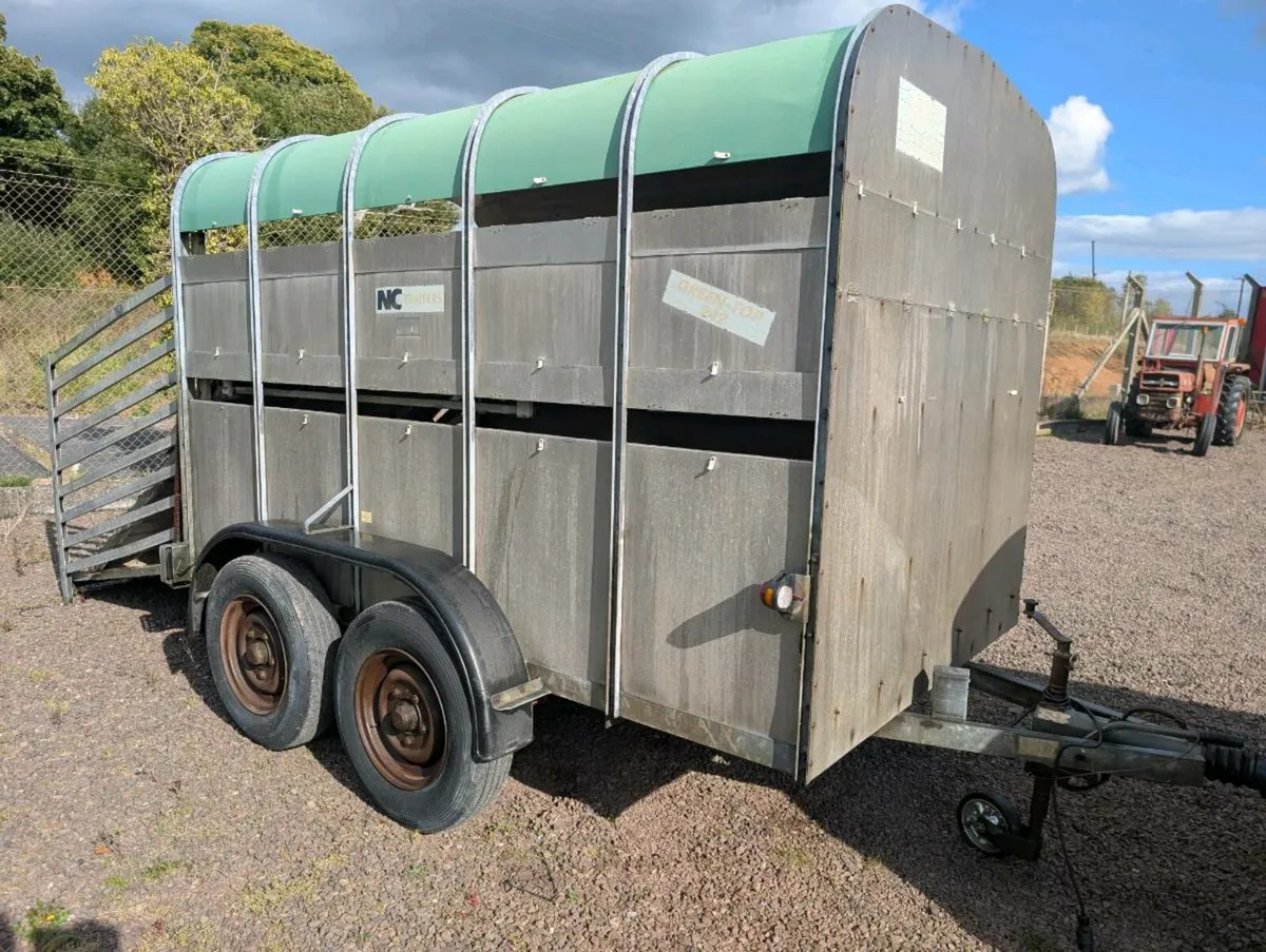 NC 10'x6' Sheep and Cattle trailer?(no Vat) - Image 1