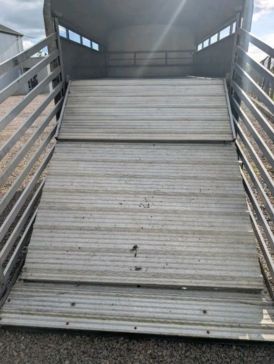 NC 10'x6' Sheep and Cattle trailer?(no Vat) - Image 2