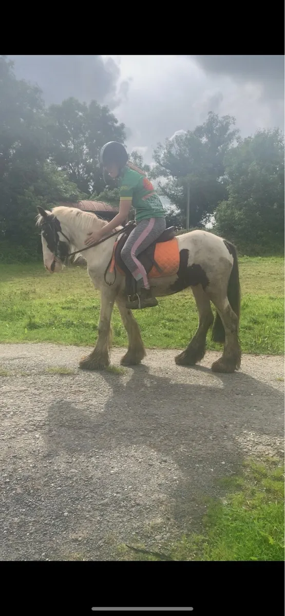 Pony - Image 4