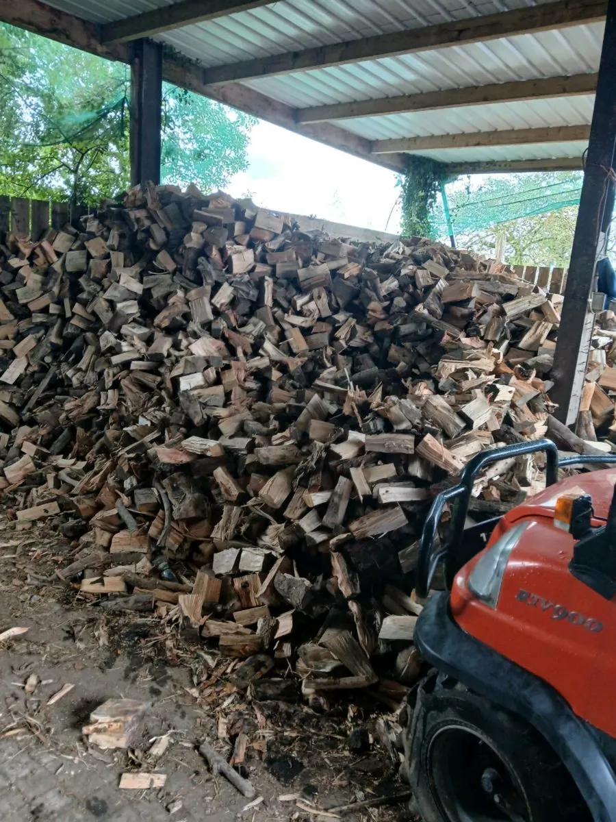 Seasoned firewood - Image 3