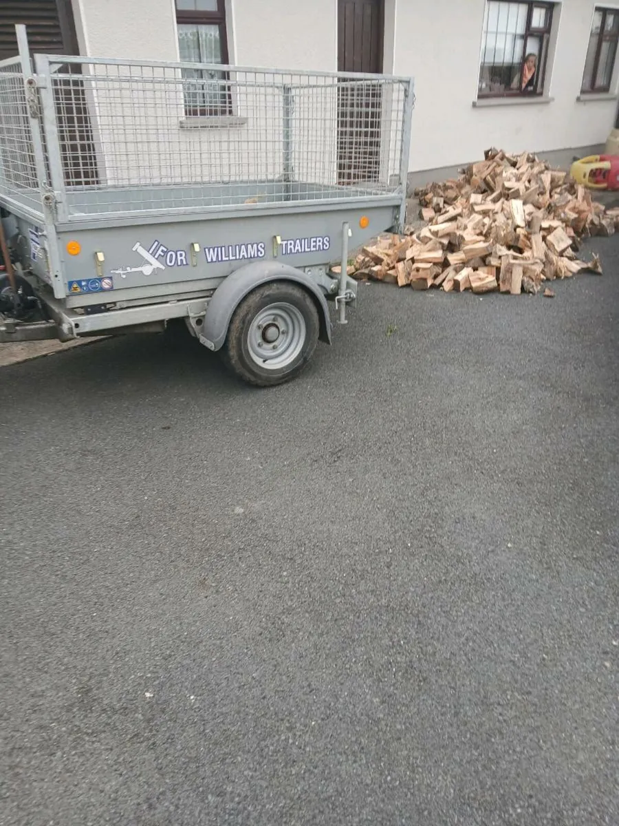 Seasoned firewood - Image 4