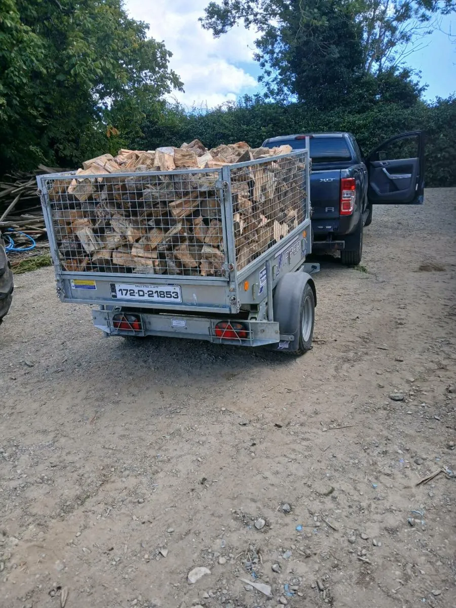 Seasoned firewood - Image 1
