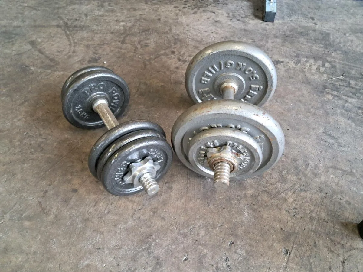 Weight bench and weights - Image 3
