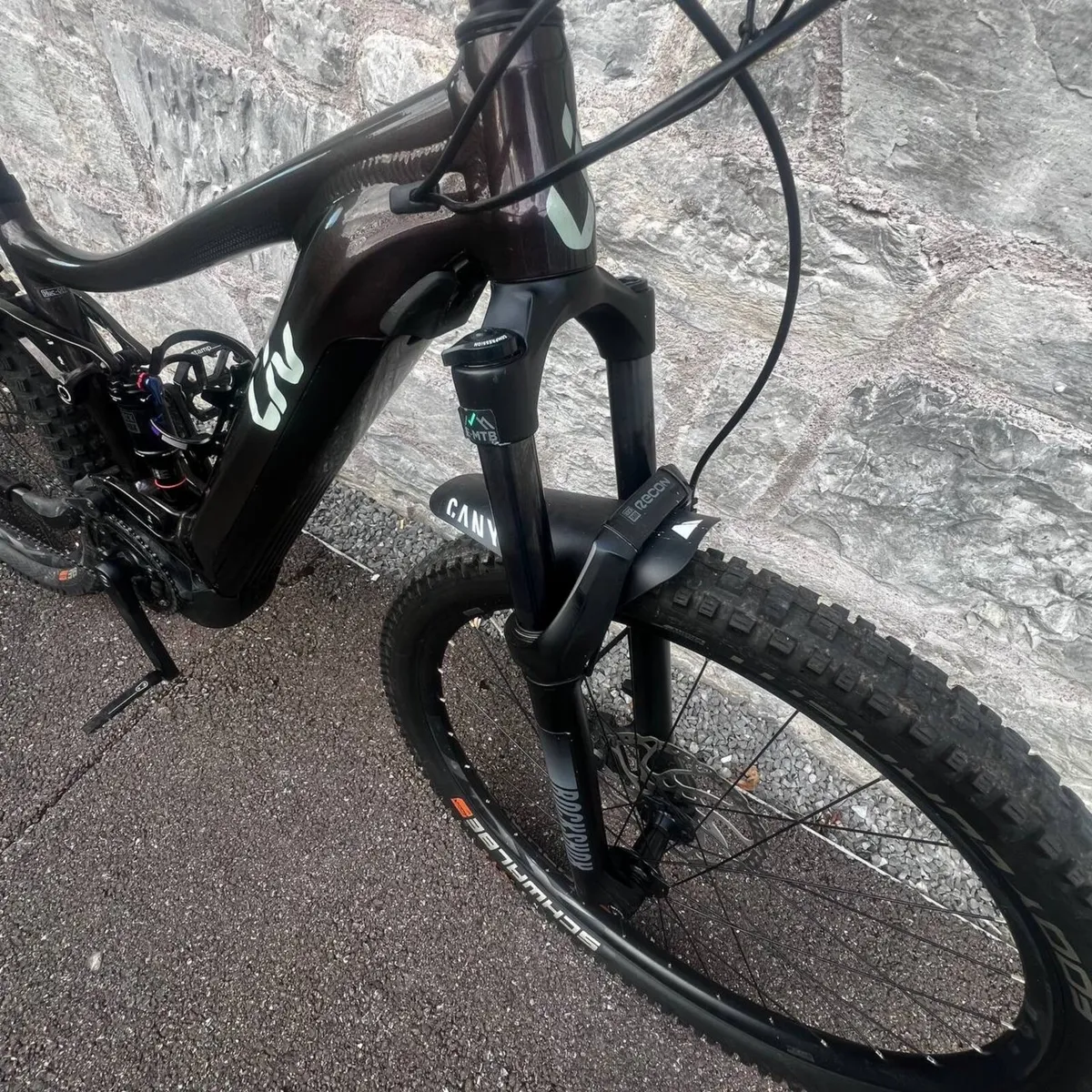 Giant electric bike - Image 4