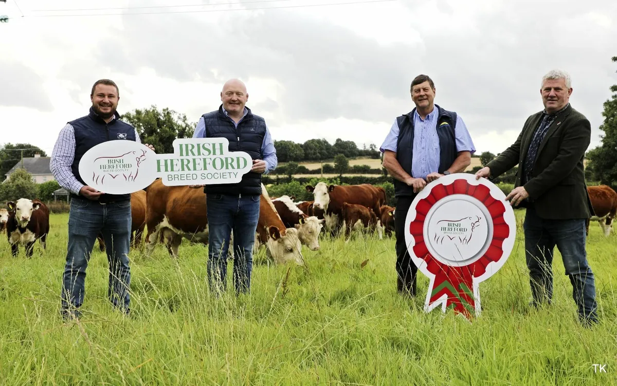 Hereford Beef Bonus Scheme - Image 2