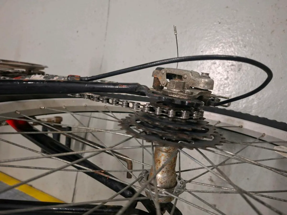24 inch mtb - Image 3