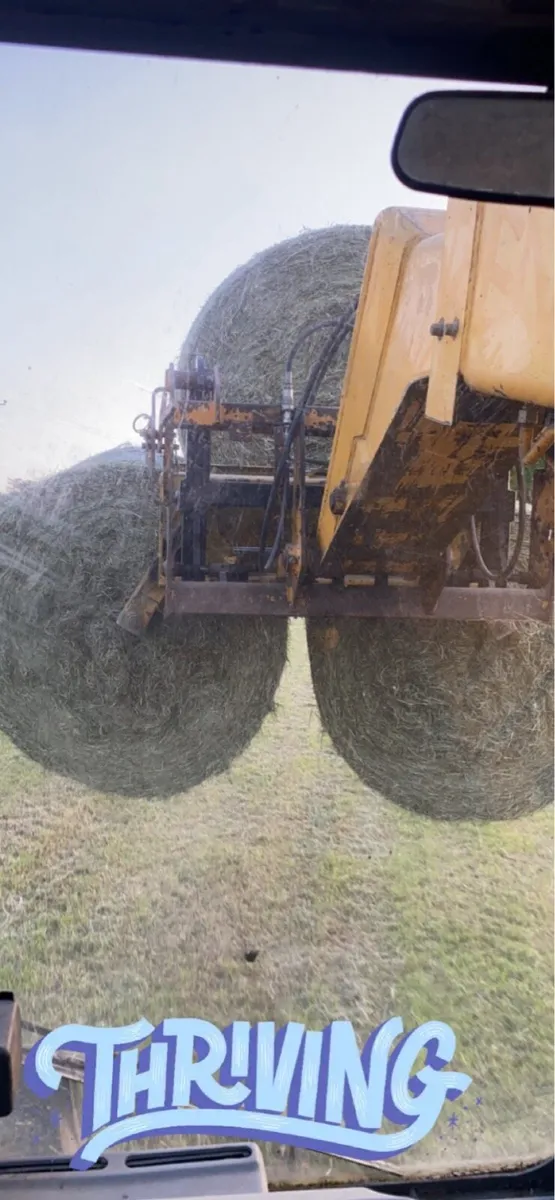 Hay - Image 2