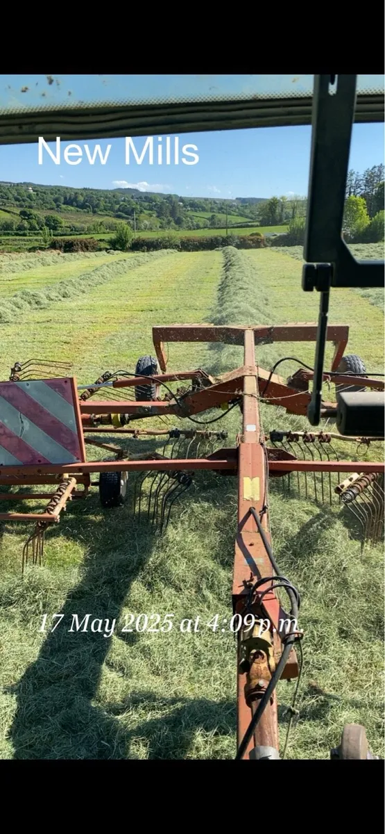 Hay - Image 3