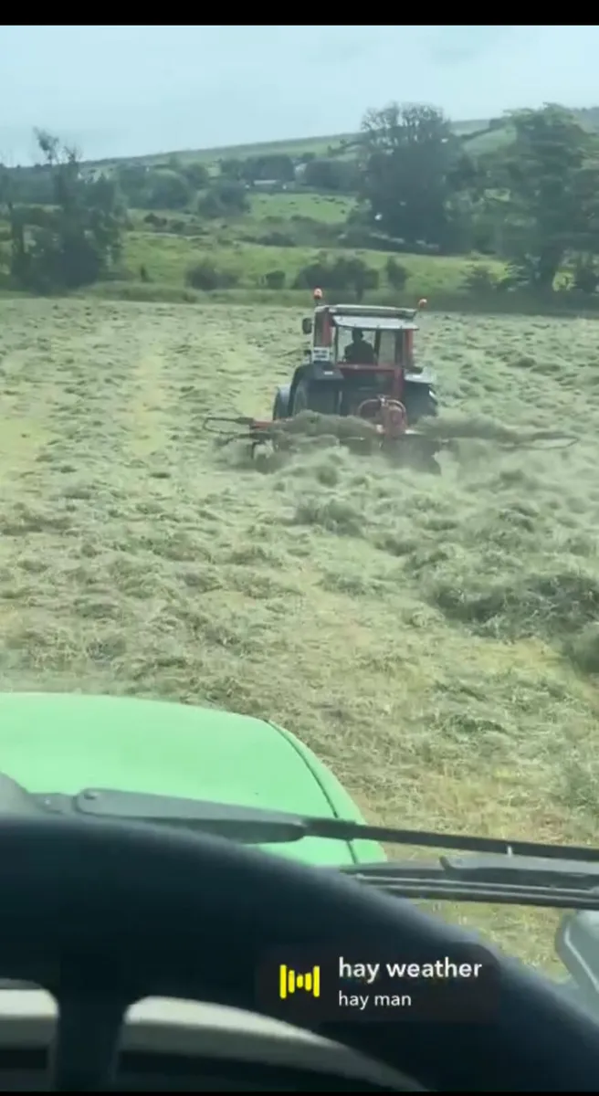 Hay - Image 4