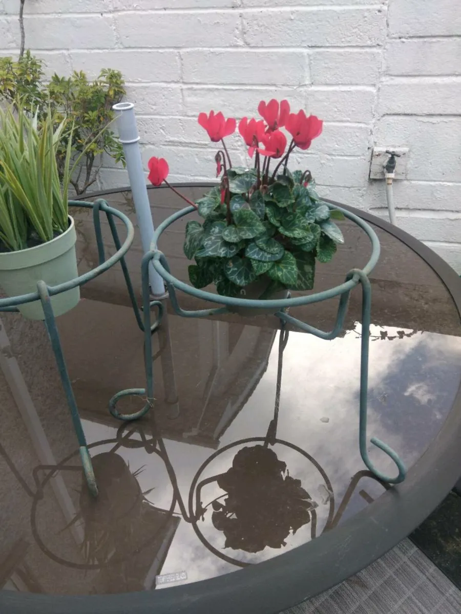 Plant holders x 2 metal - Image 1