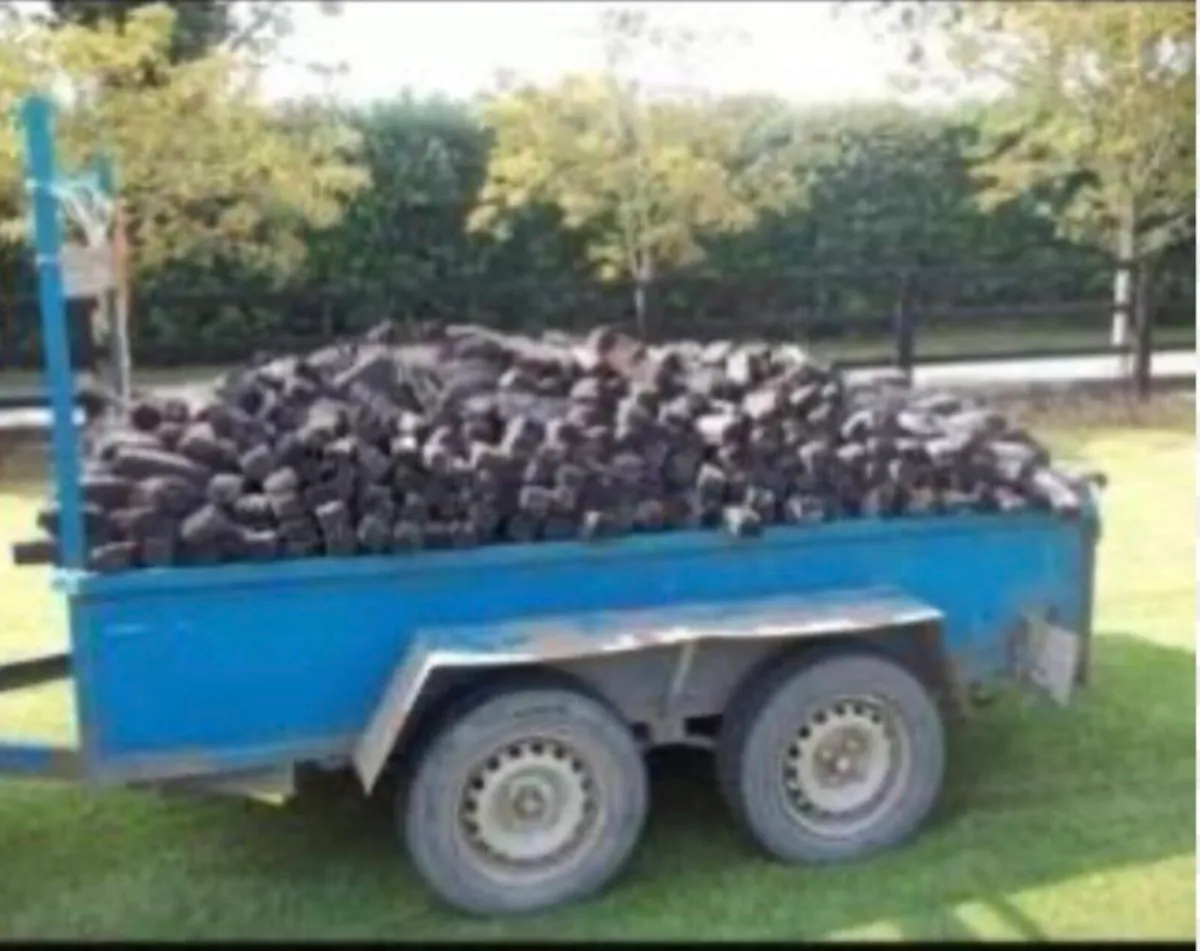 Solid fuel - Image 3