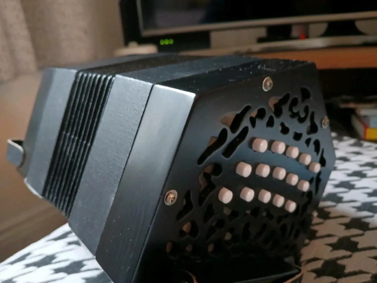 Button Accordian - Image 2
