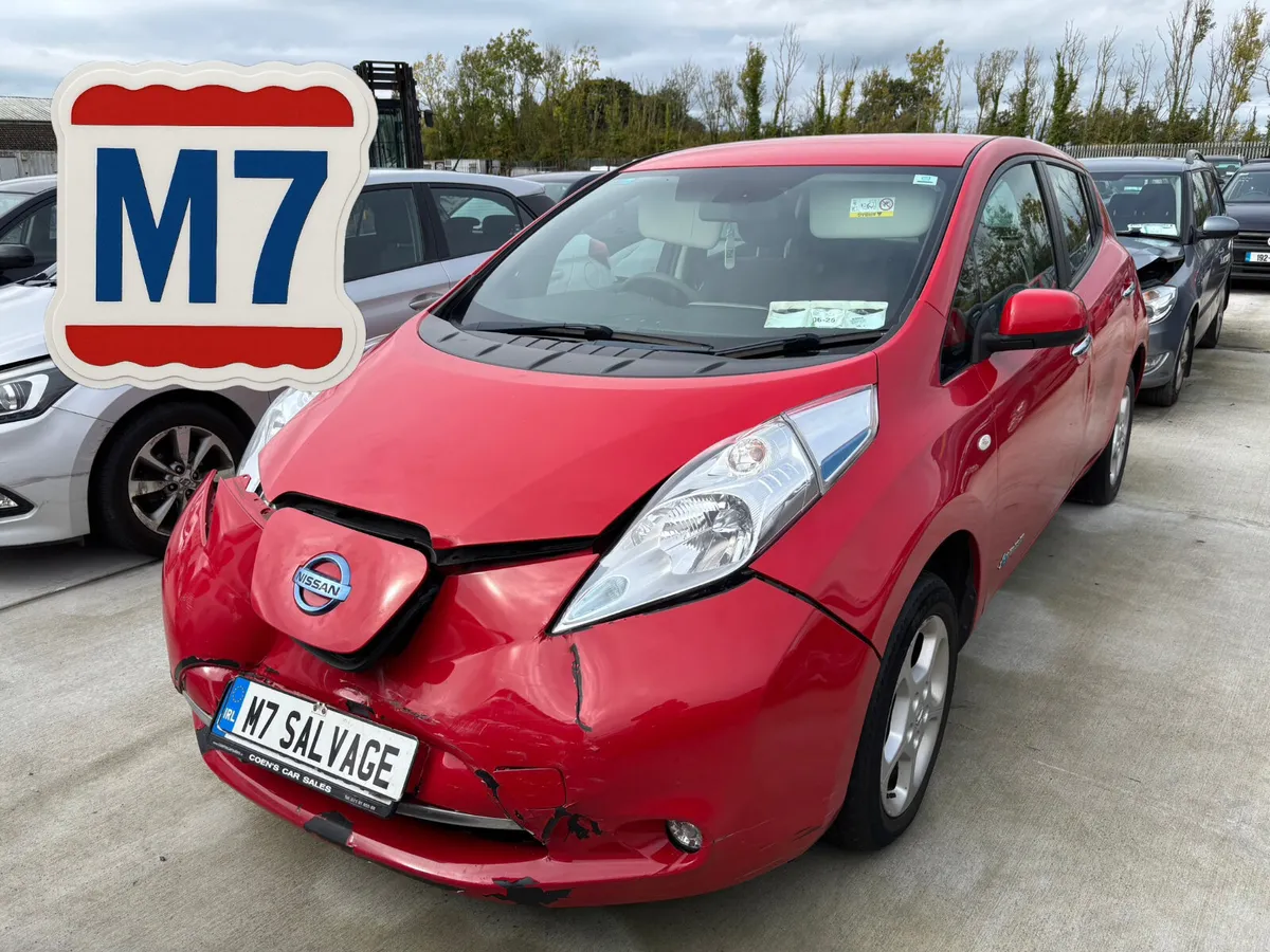 17 Leaf Acenta 24km Drives 140km - Image 1