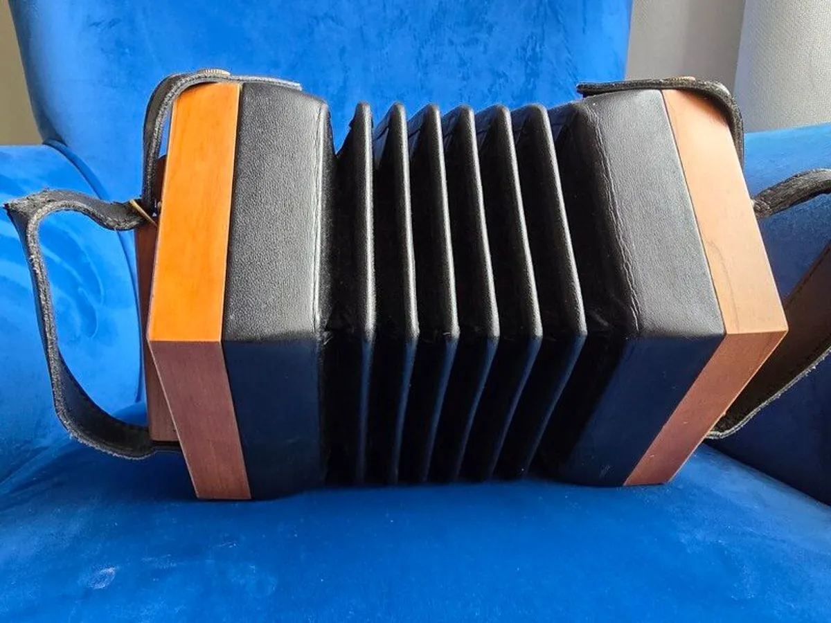 Phoenix concertina - Image 1