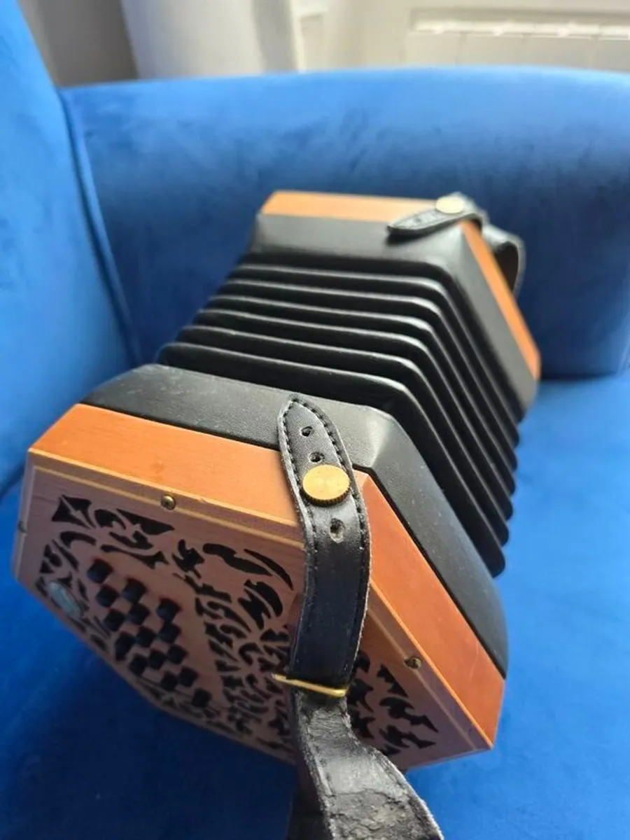 Phoenix concertina - Image 2