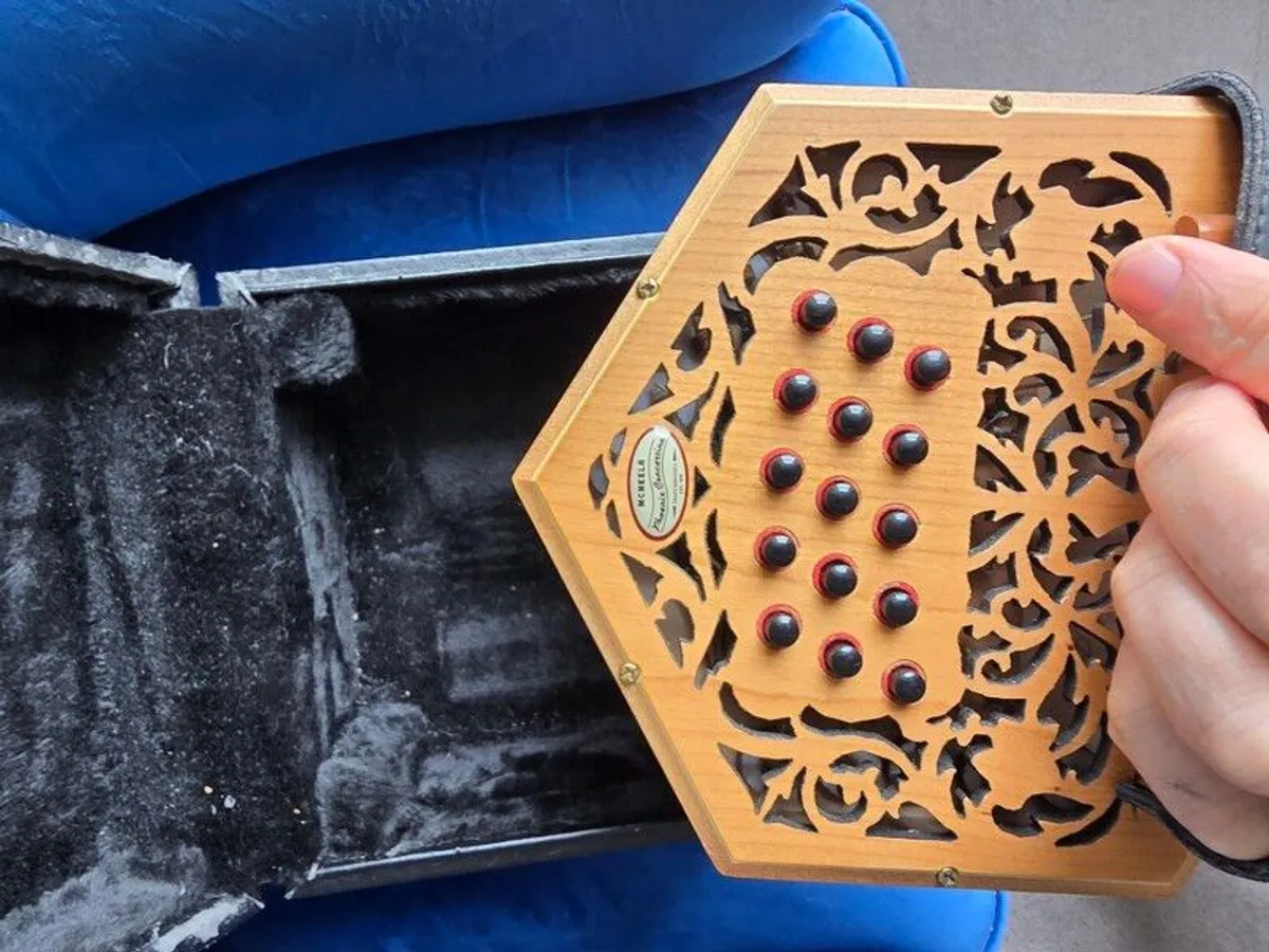 Phoenix concertina - Image 3