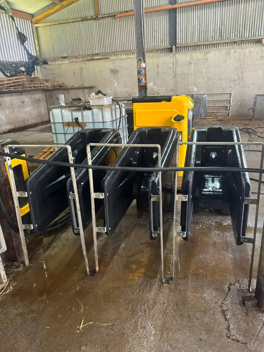 Jfc automatic calf feeder - Image 3