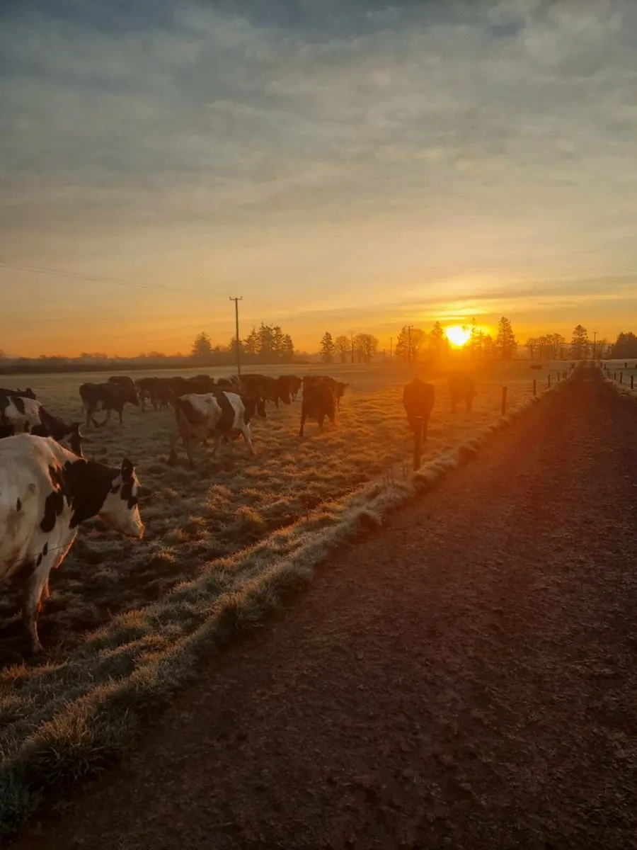 milker required