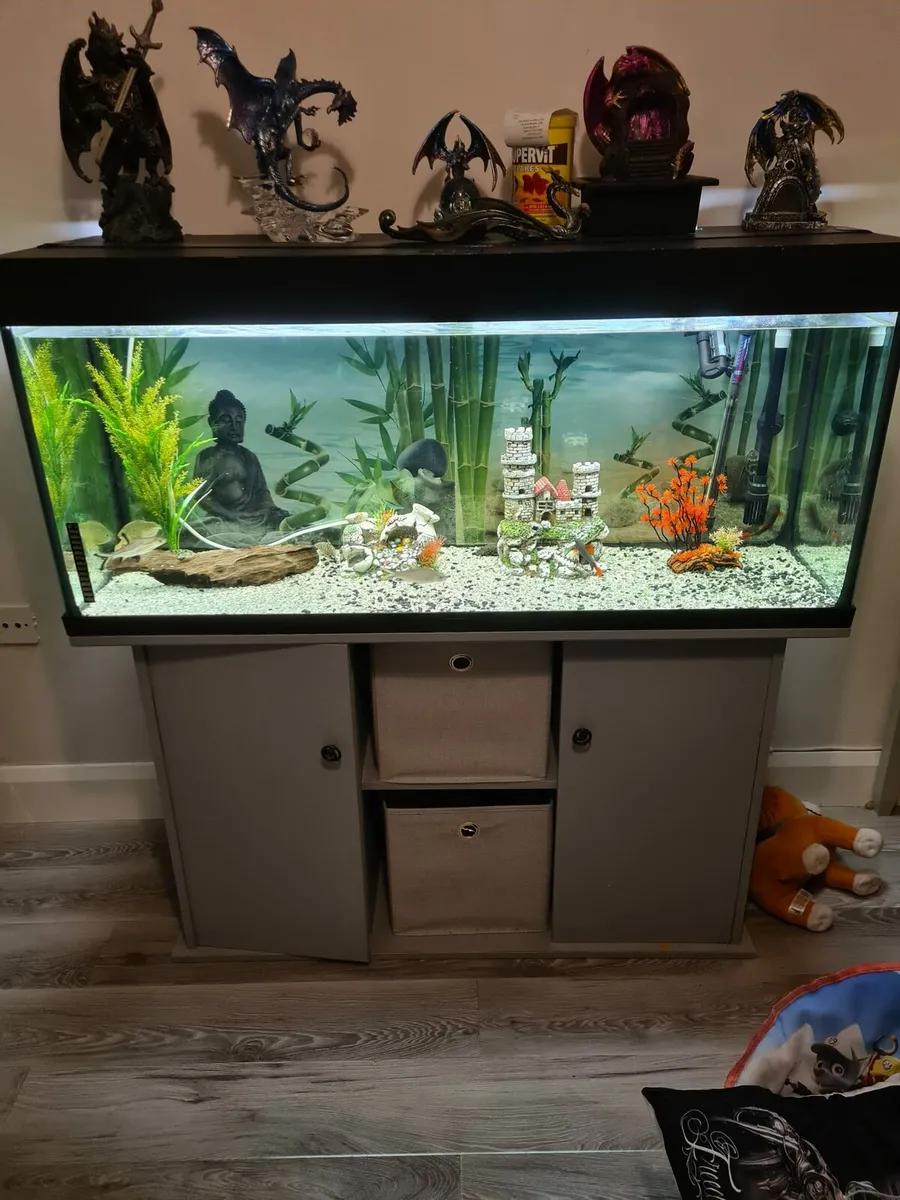 Exquisite Fish tank - Image 1