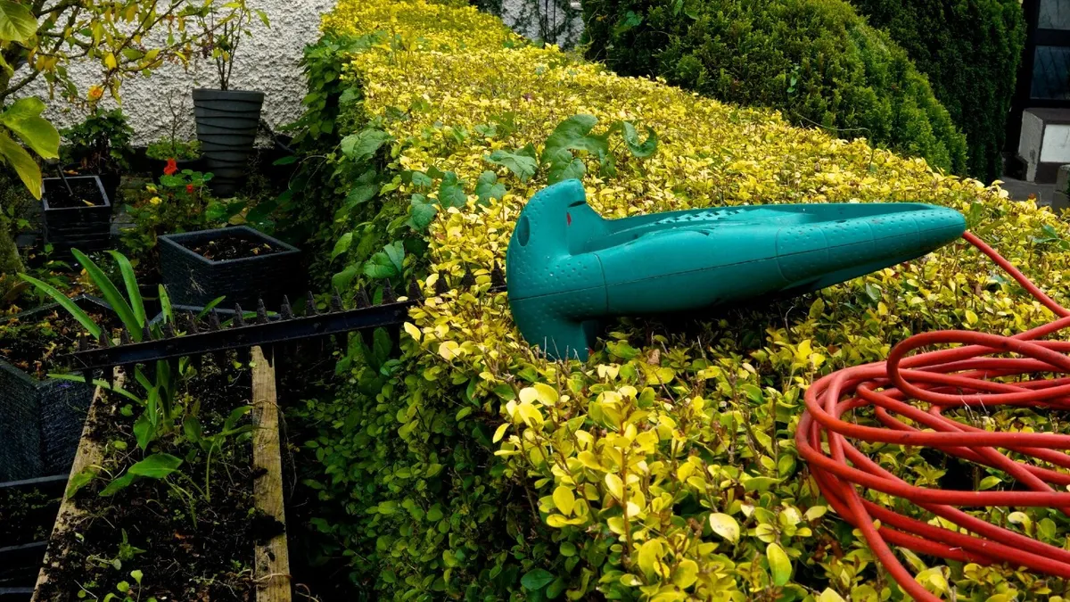 Eletcric Hedge Trimmer €20 - Image 2
