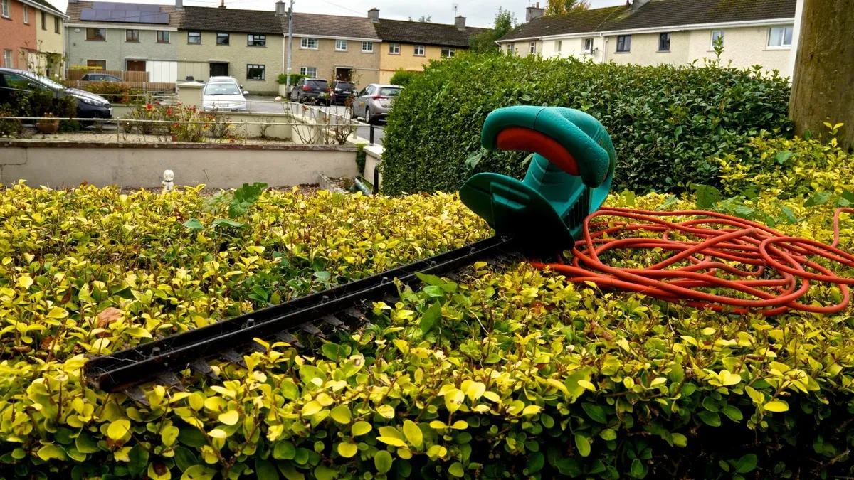 Eletcric Hedge Trimmer €20 - Image 3