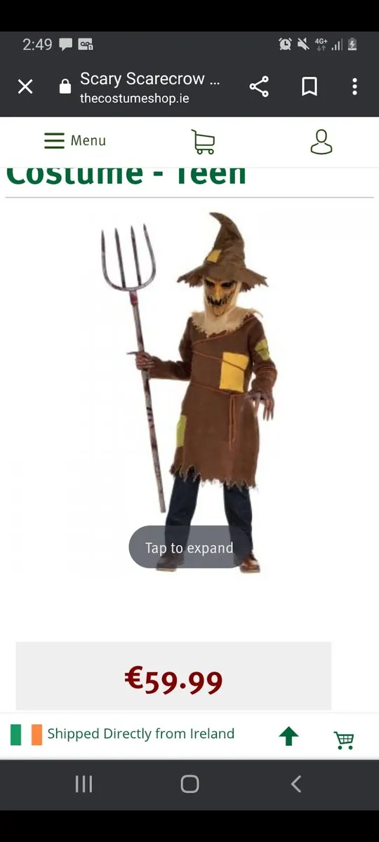 Scarecrow costume - Image 1