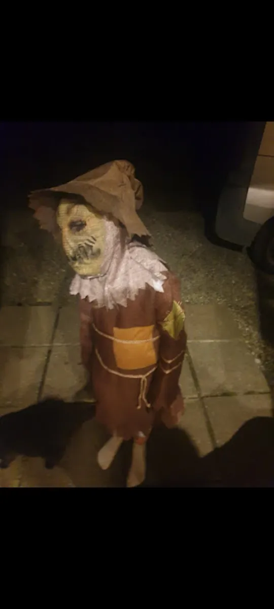 Scarecrow costume - Image 2