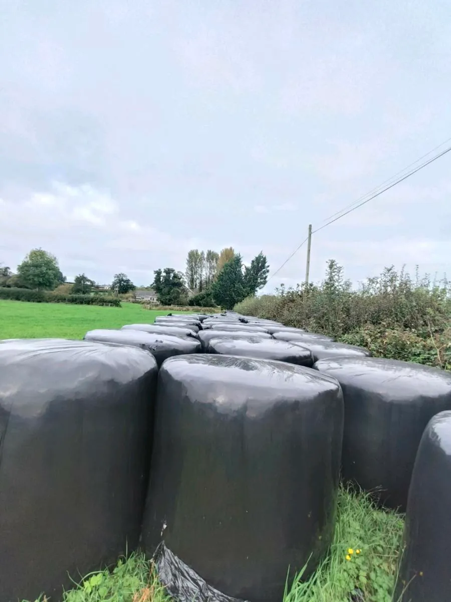 First and second cut silage for sale - Image 4