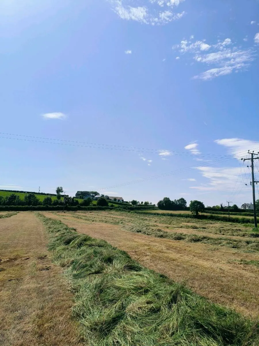 First and second cut silage for sale - Image 1