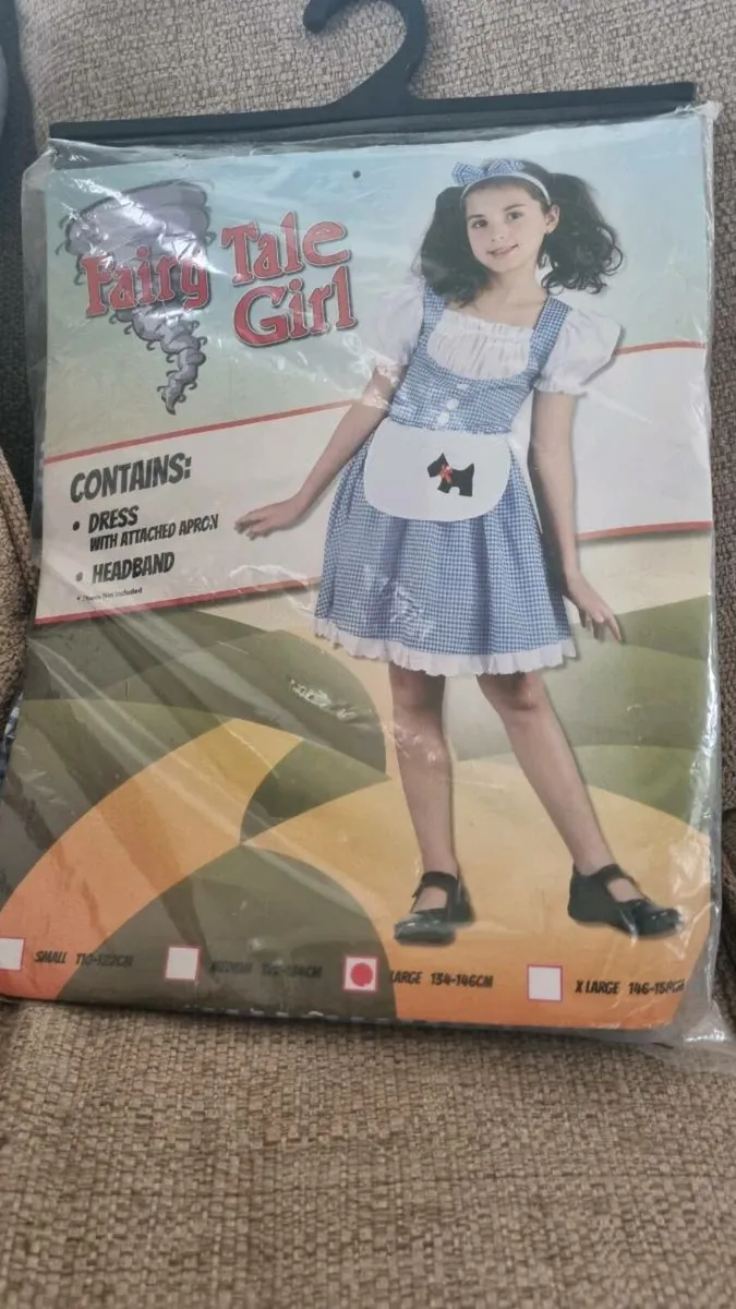 Dorothy costume - Image 1