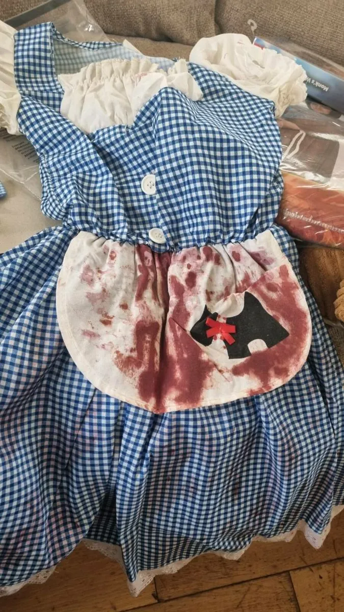 Dorothy costume - Image 2