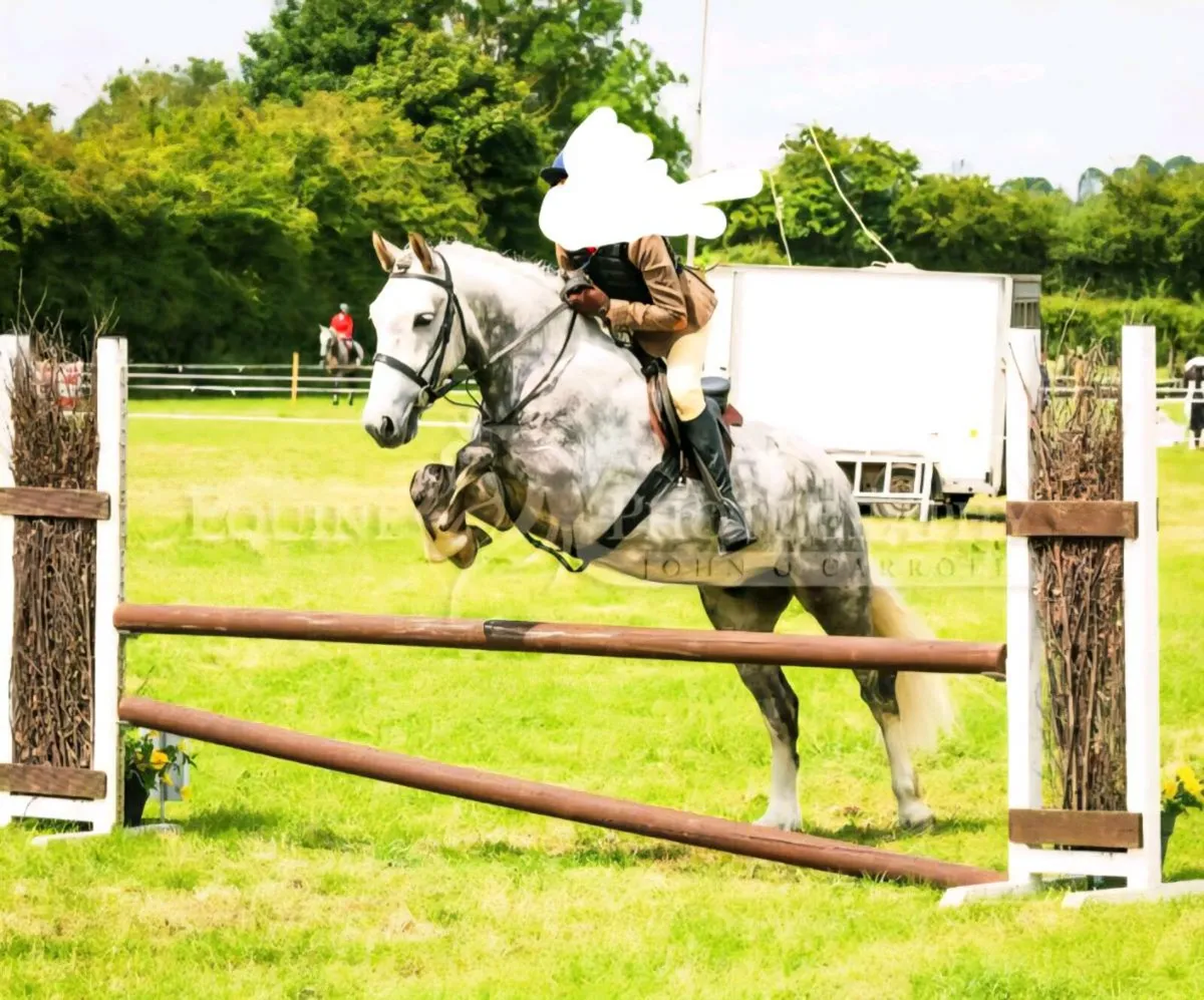 14.1 all rounder - Image 4