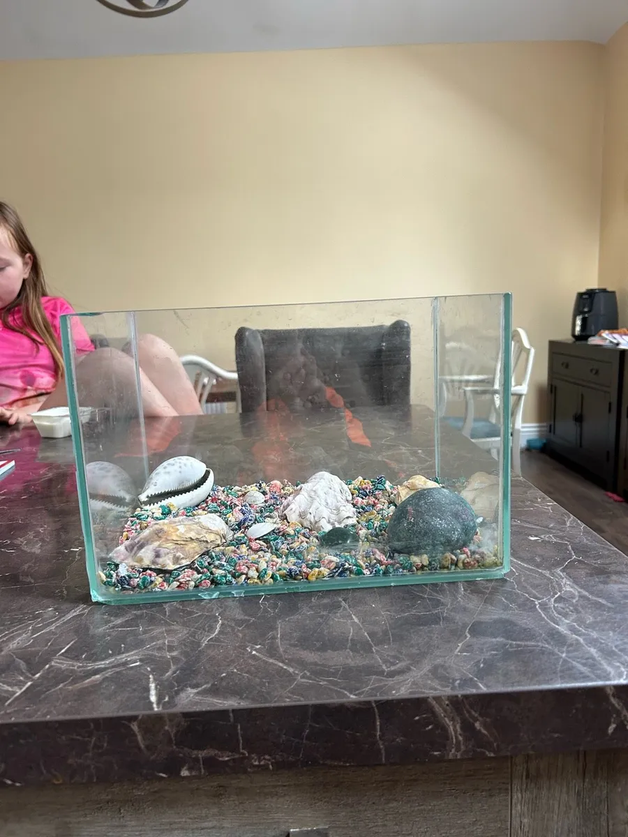 Fish tank - Image 1
