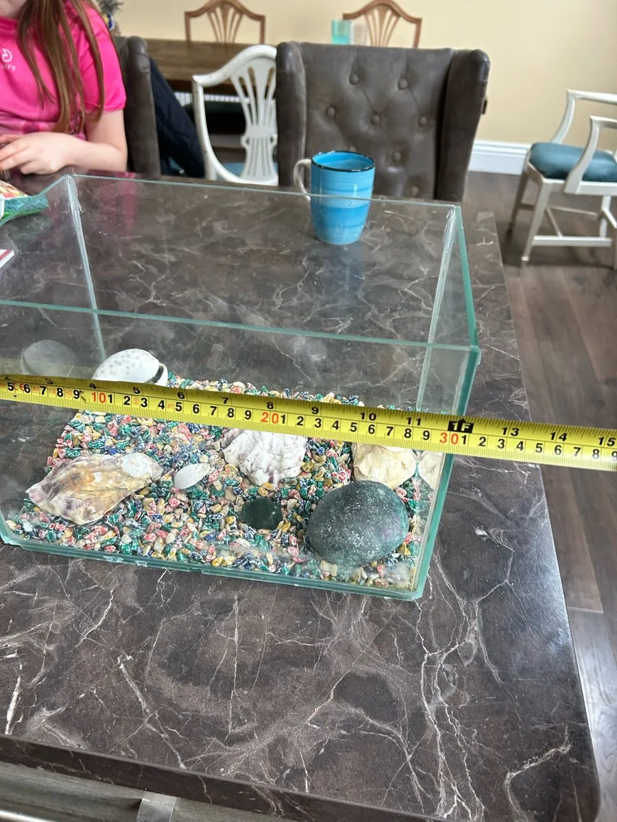 Fish tank - Image 2