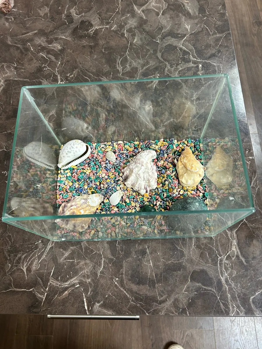 Fish tank - Image 3