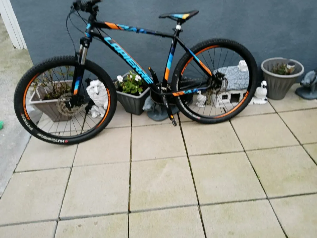 ADULTS BIKE - Image 1