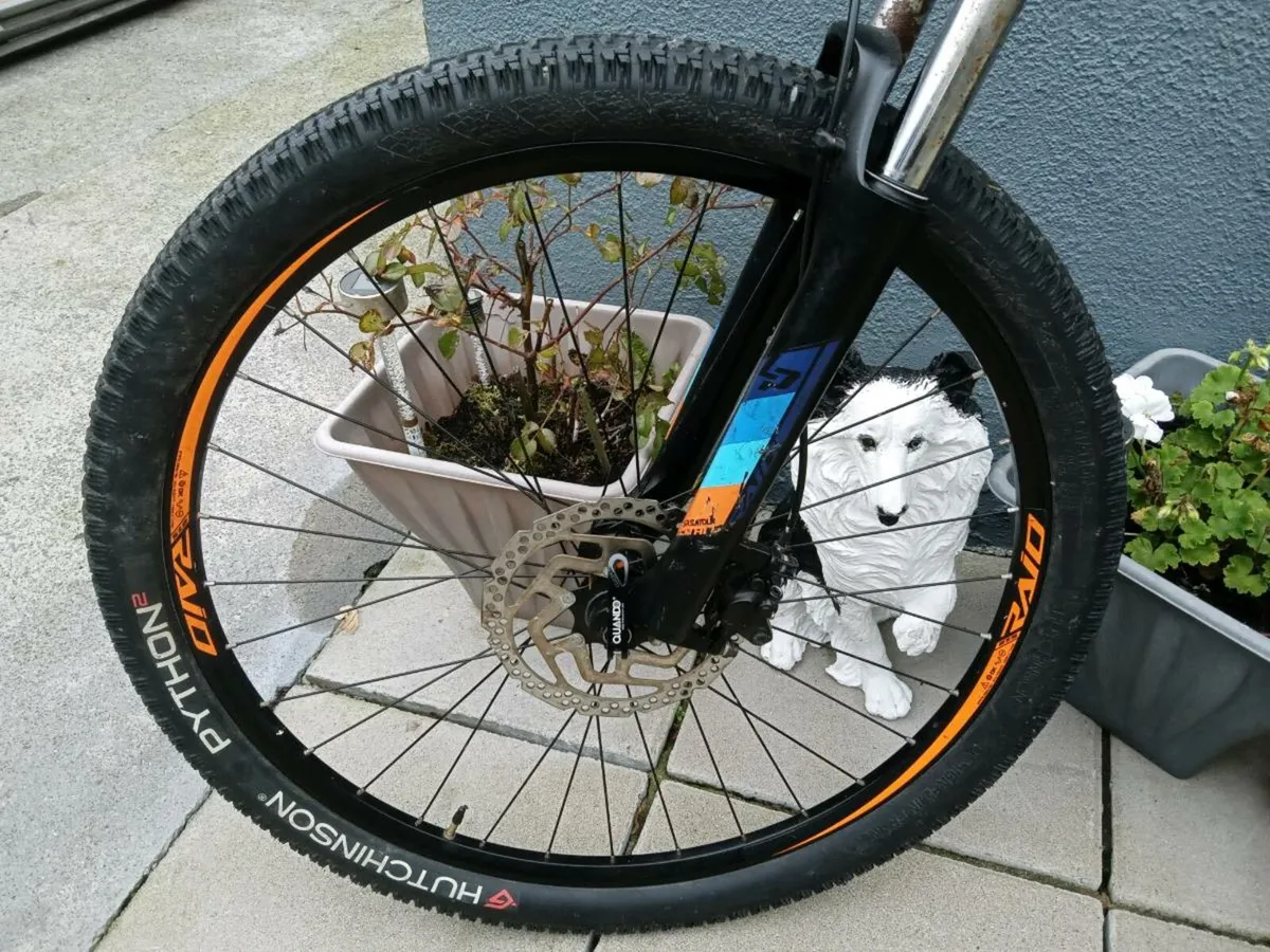 ADULTS BIKE - Image 2