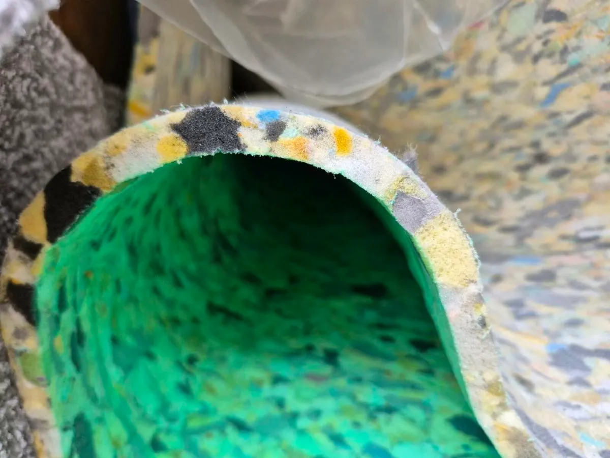 Carpet Canvas Back - Image 3