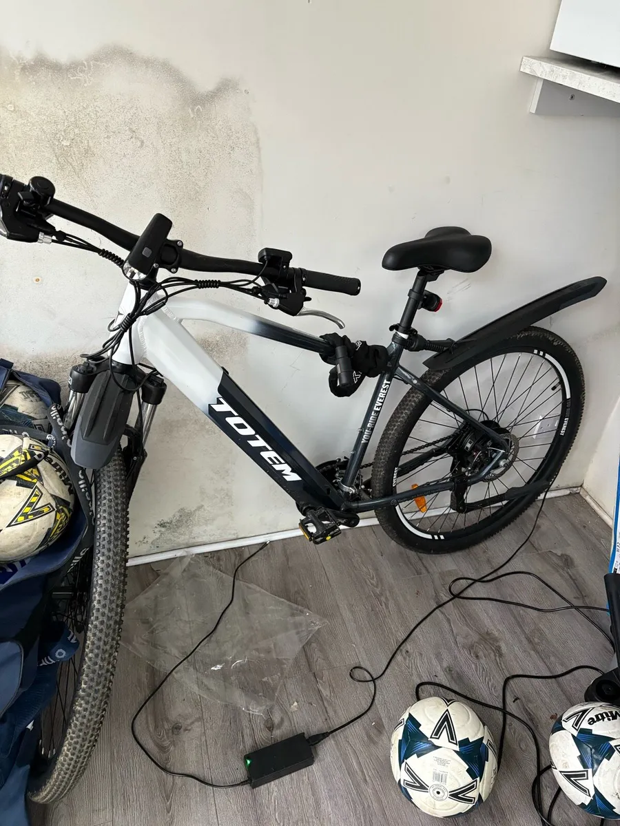 Electric Bike (Totem)