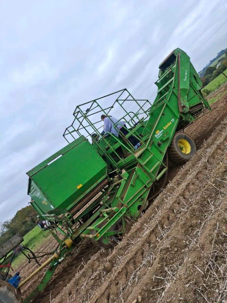 Standen potato harvester - Image 2