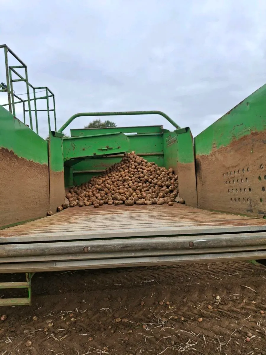 Standen potato harvester - Image 4