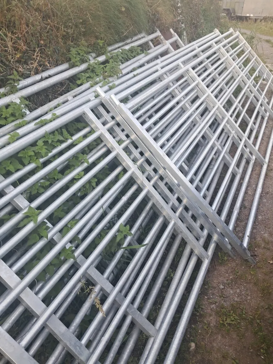 Quality  gates for sale - Image 2