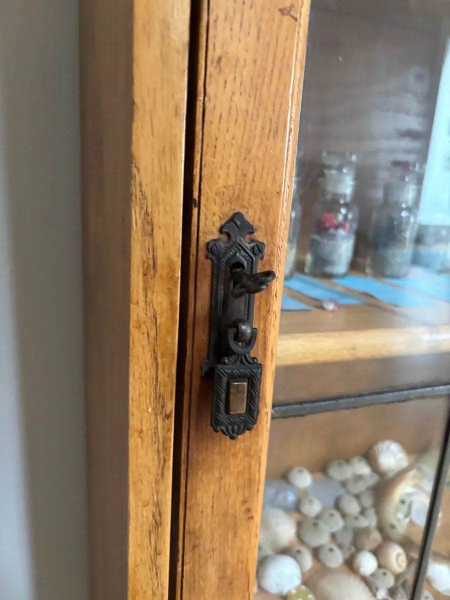 Antique Art Nouveau Display Cabinet - Image 3