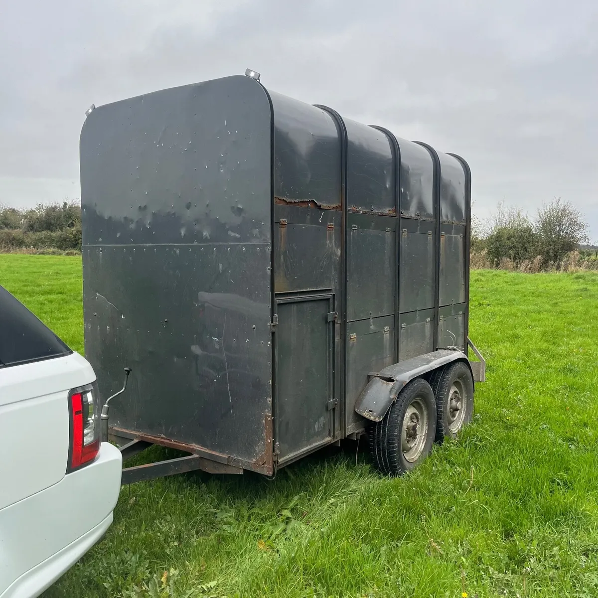 Cow /horse box - Image 2