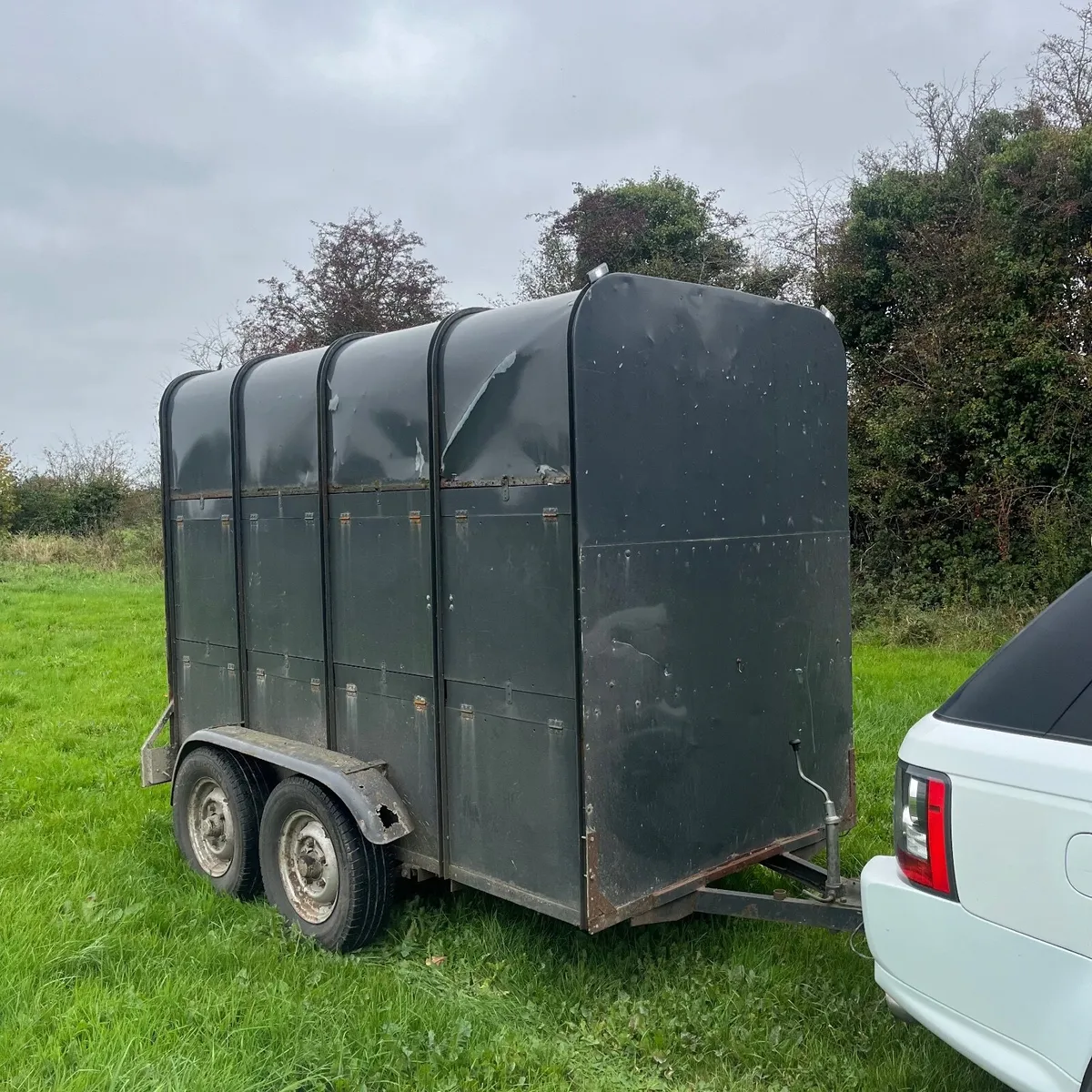 Cow /horse box - Image 3