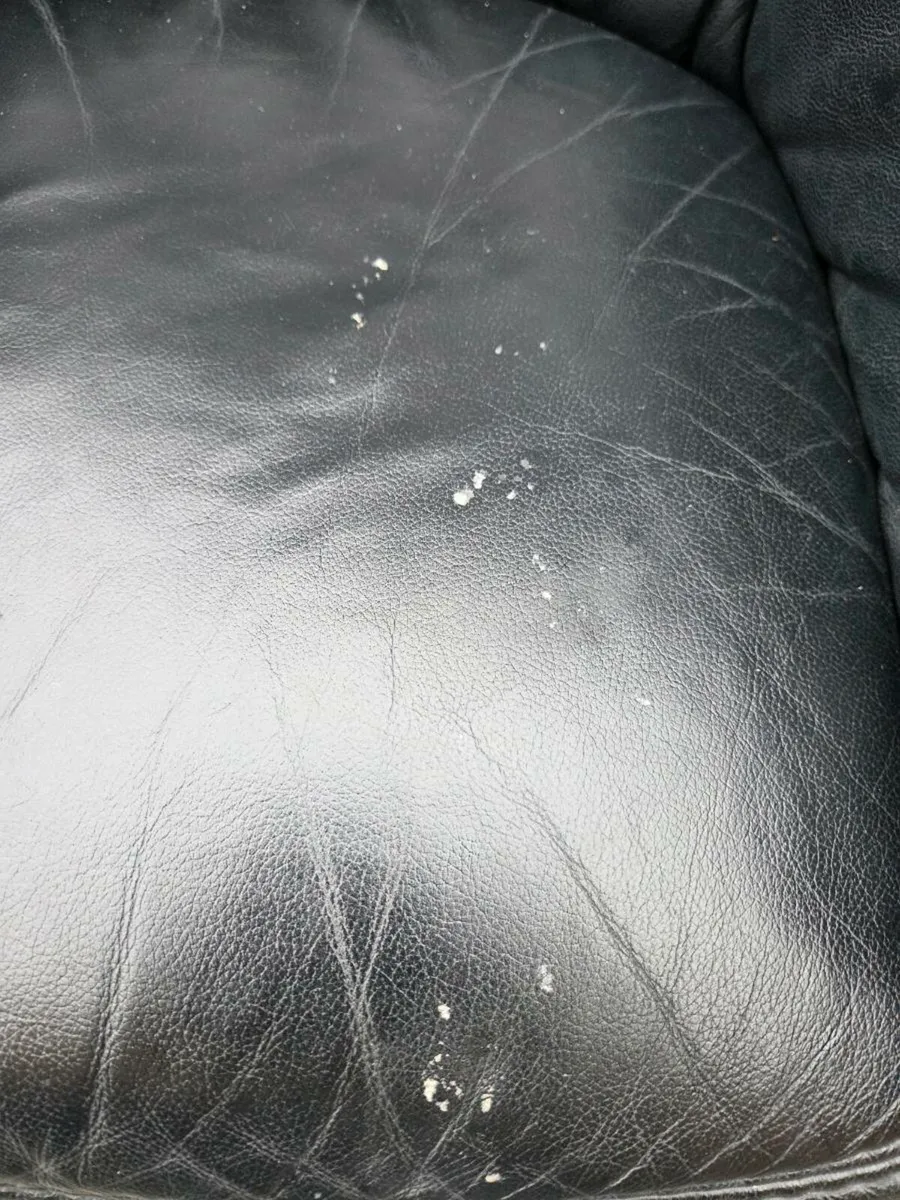 Armchairs - Image 2