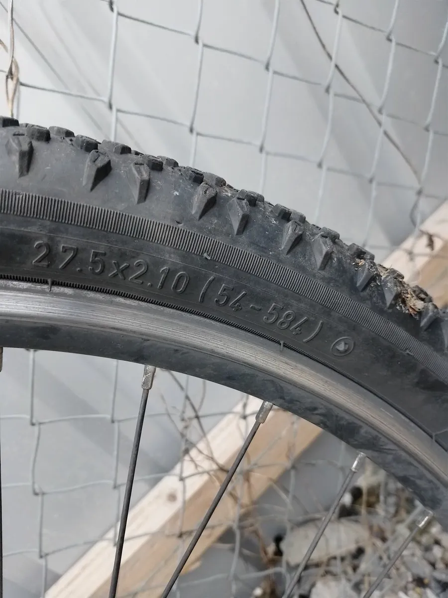 Bike - Image 2