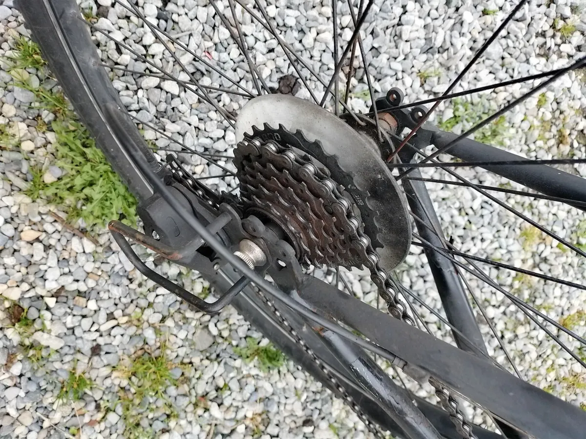 Bike - Image 4