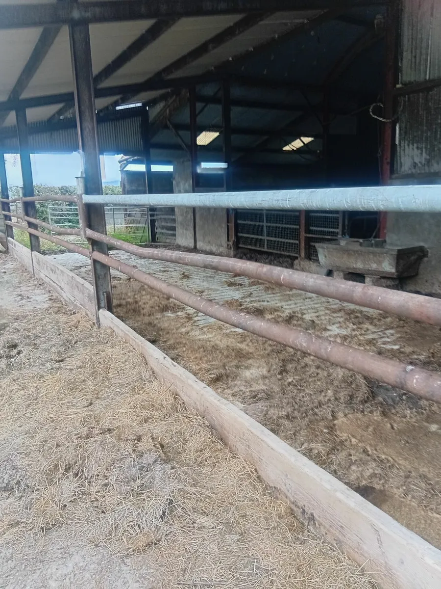 Bedding and feeding - Image 4