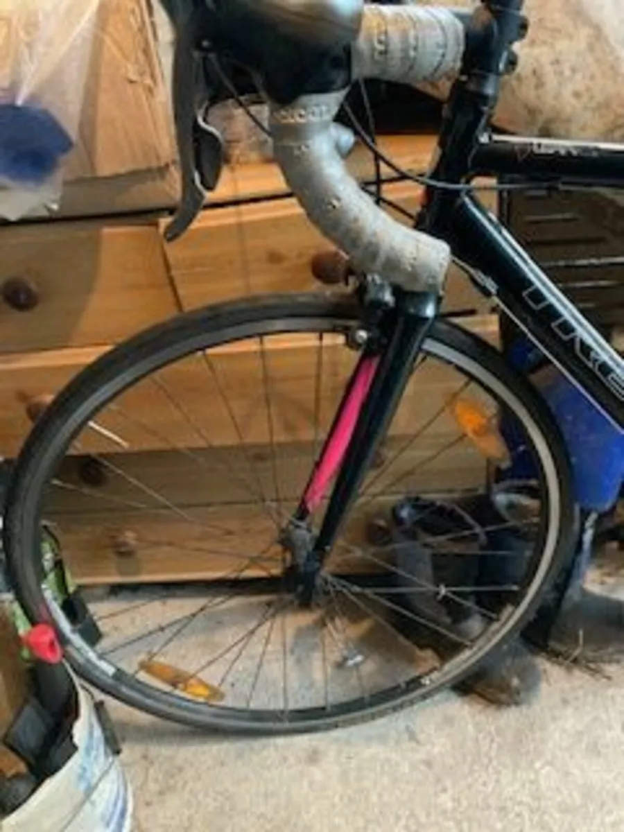 Ladies TREK Bicycle - Image 1